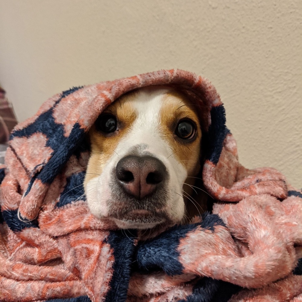 Meet your Posher, Julia